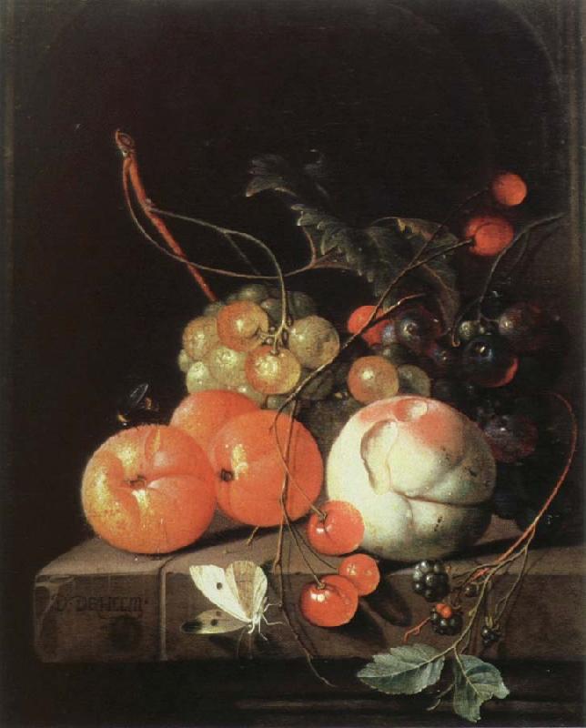 Jan Davidz de Heem still life of fruit